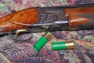 Great American Gun Owners list